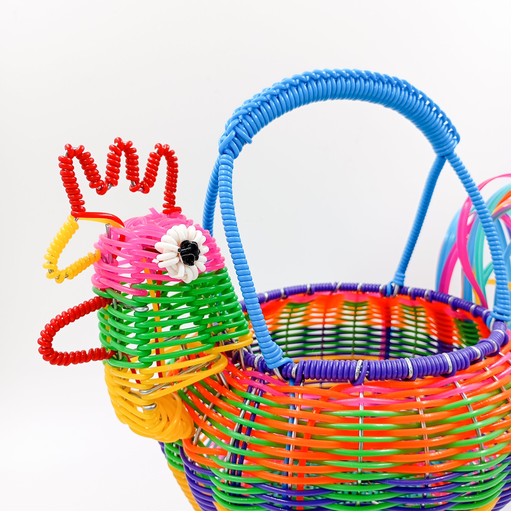 Popotillo chickens in different colors