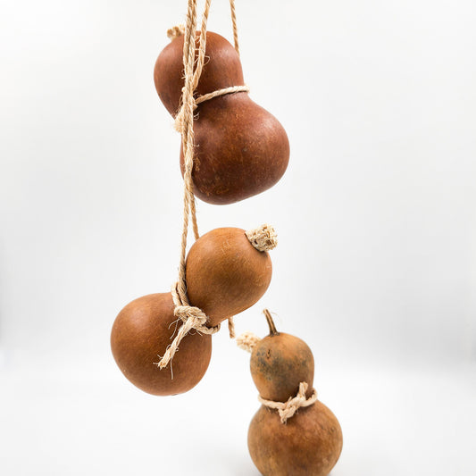 Guaje para agua con asa de henequén