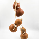 Guaje para agua con asa de henequén