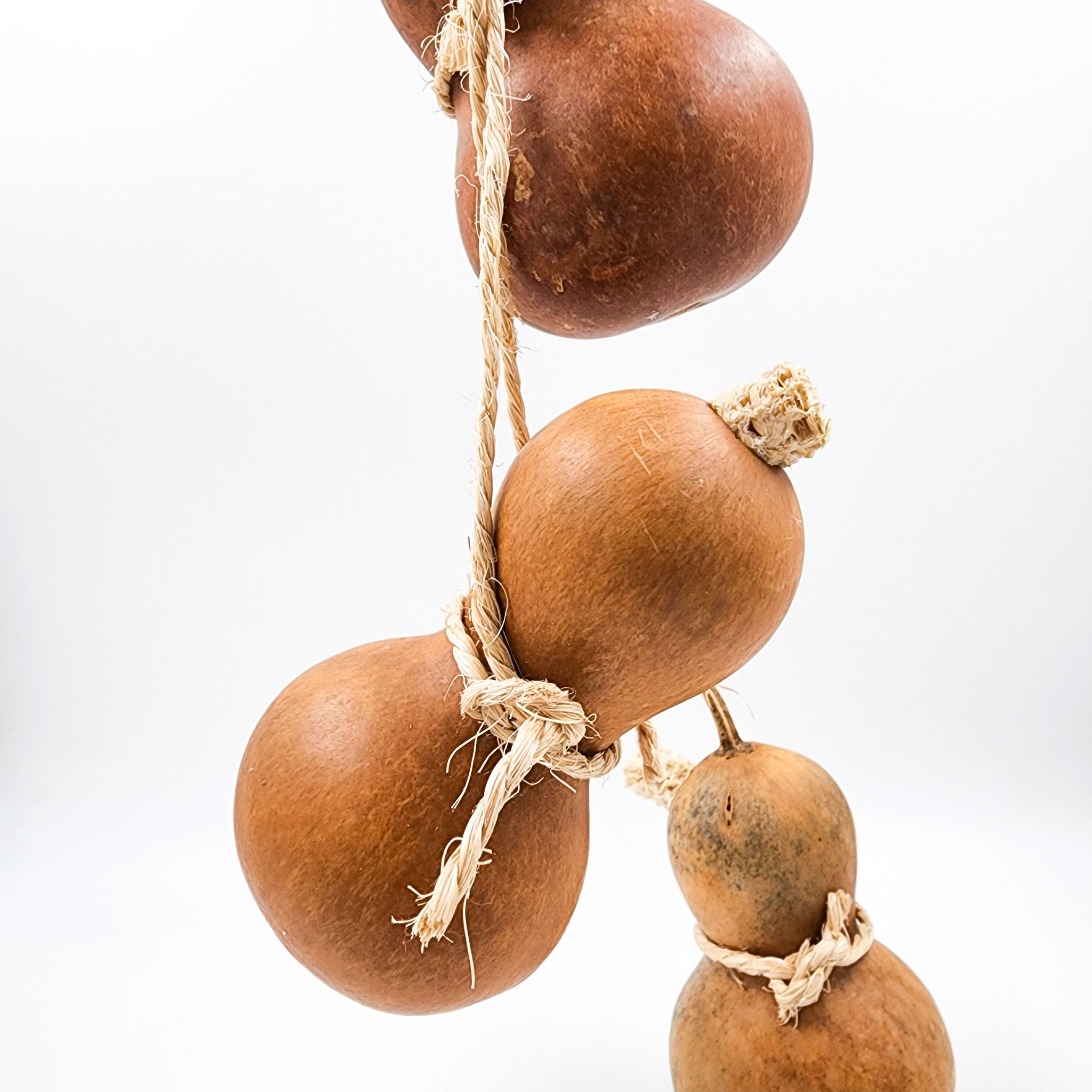 Guaje para agua con asa de henequén