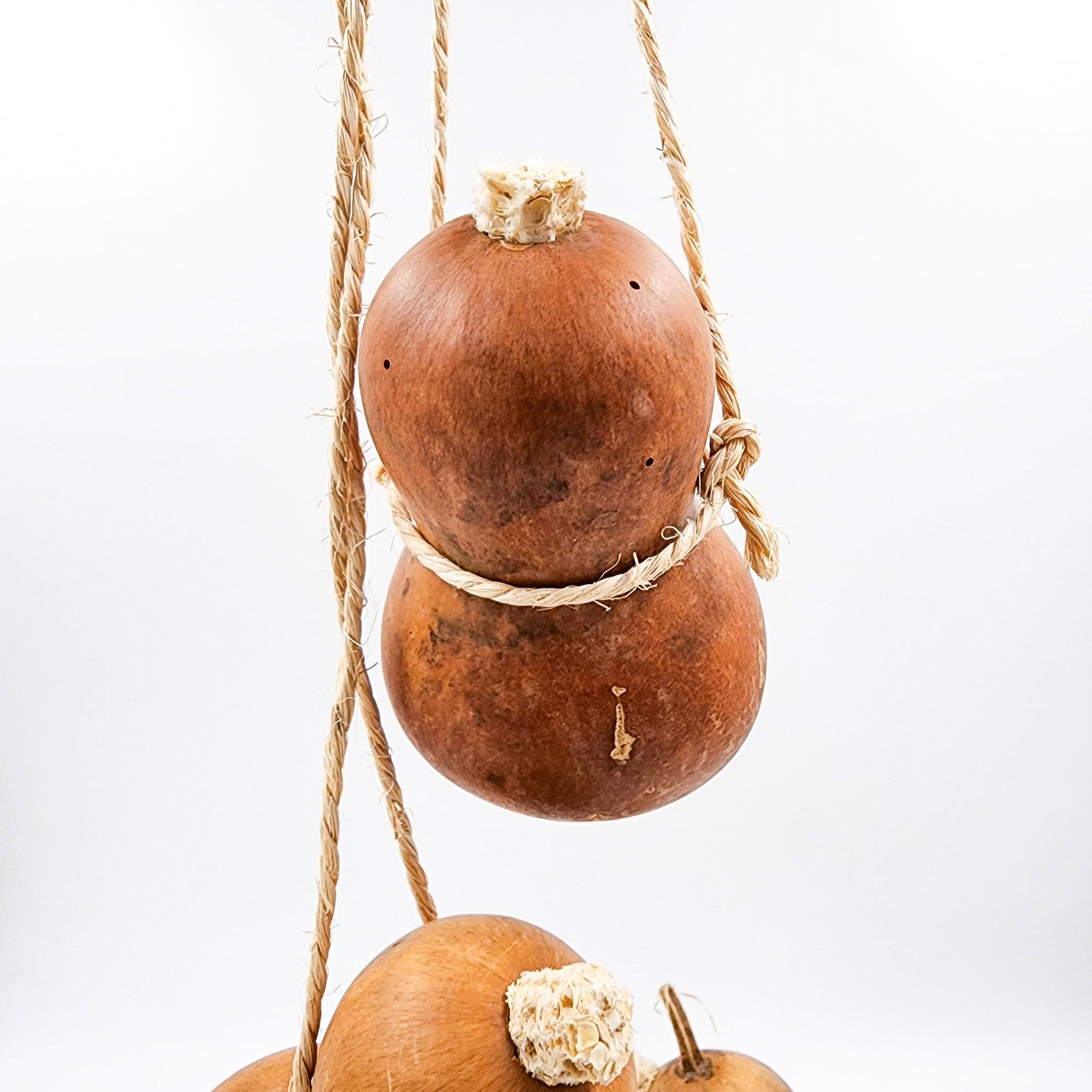 Guaje para agua con asa de henequén