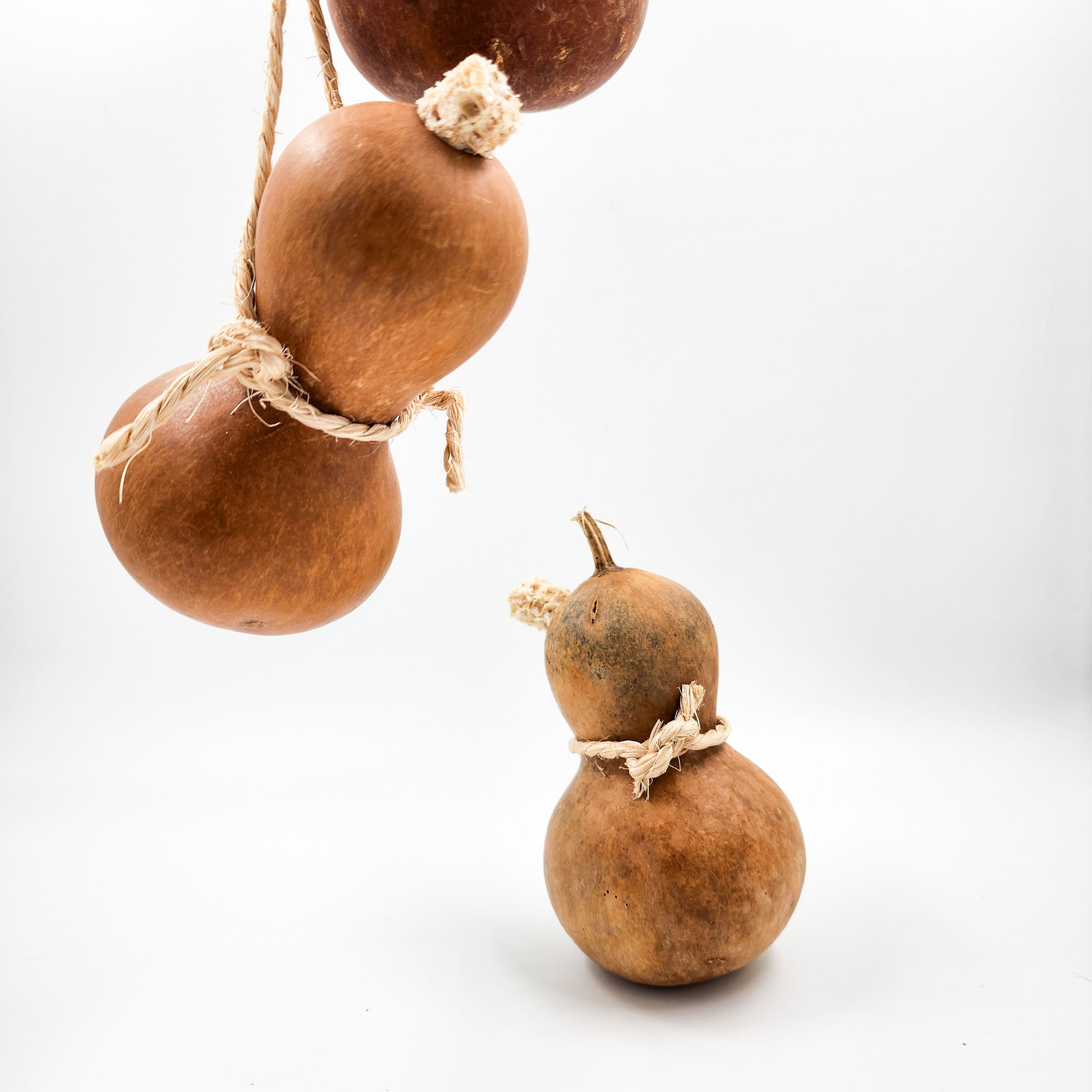 Guaje para agua con asa de henequén