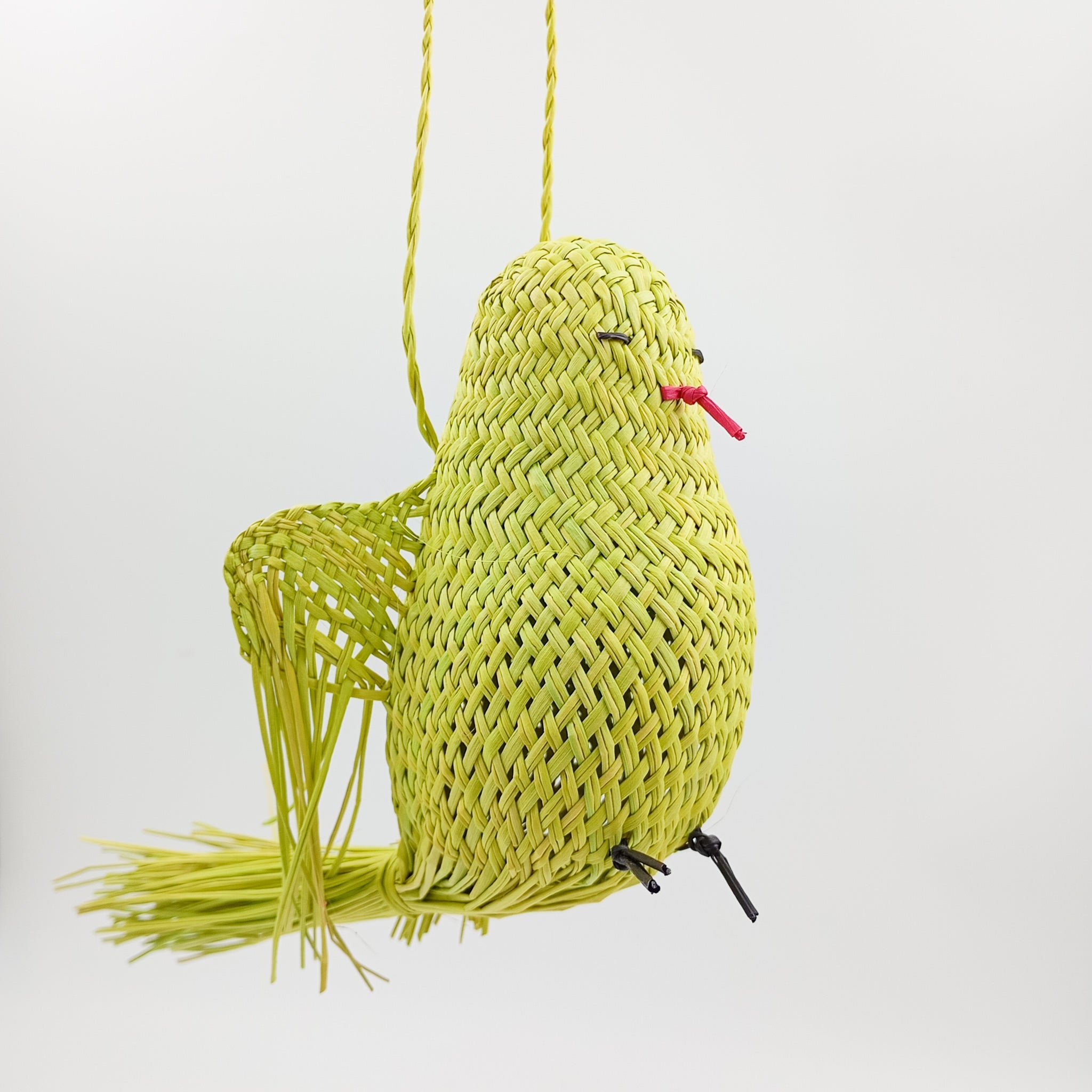 Pájaros de Jipijapa
