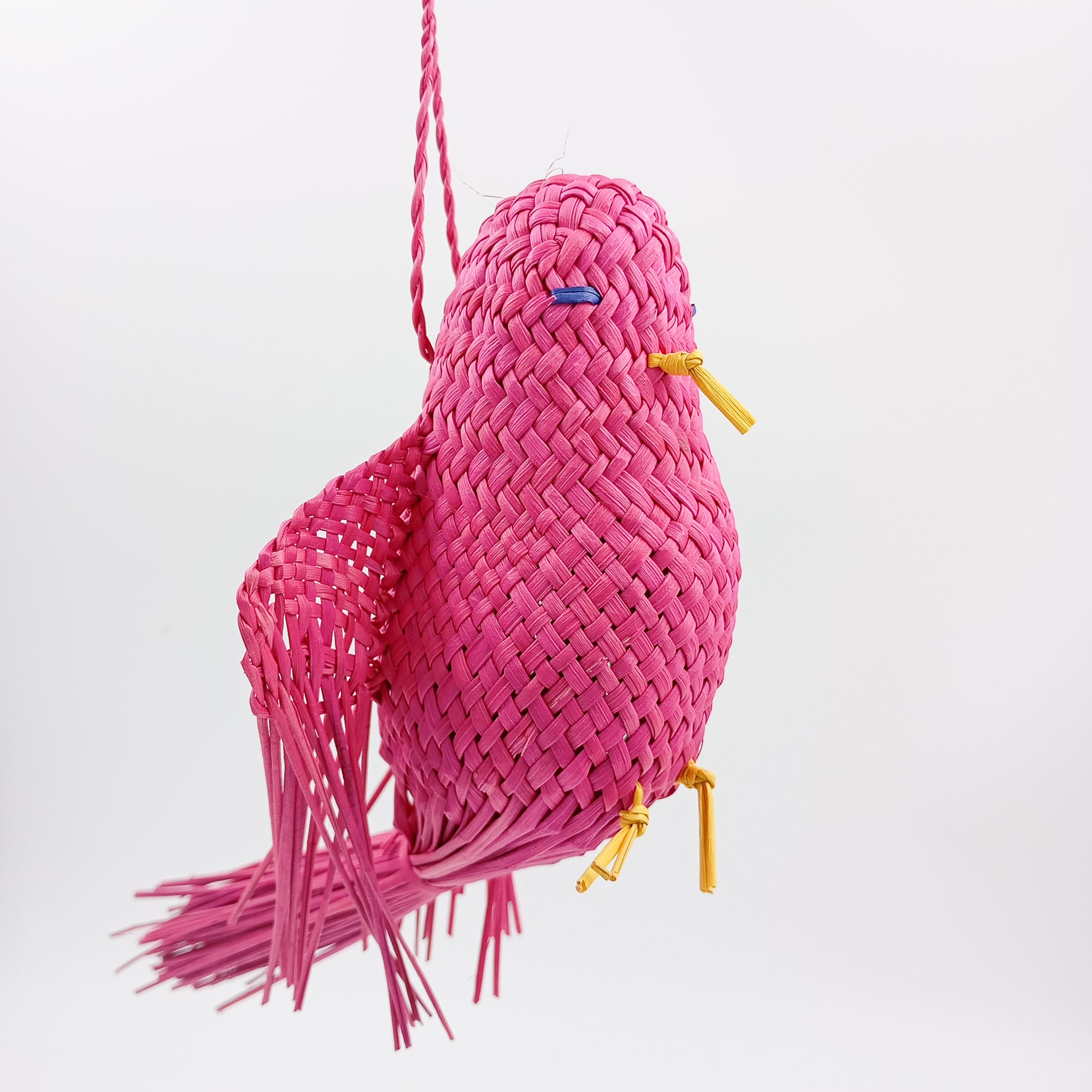 Pájaros de Jipijapa