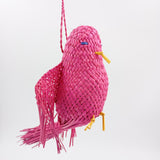 Pájaros de Jipijapa