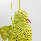 Pájaros de Jipijapa