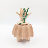 Piña vidriada beige con pétalos