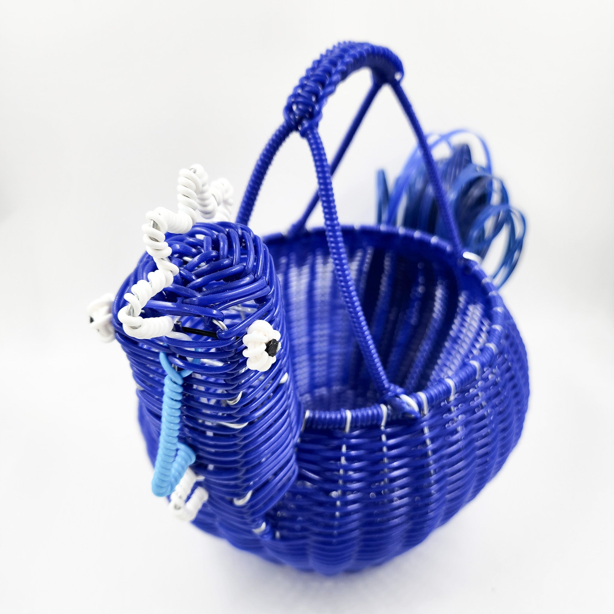 Popotillo chickens in different colors