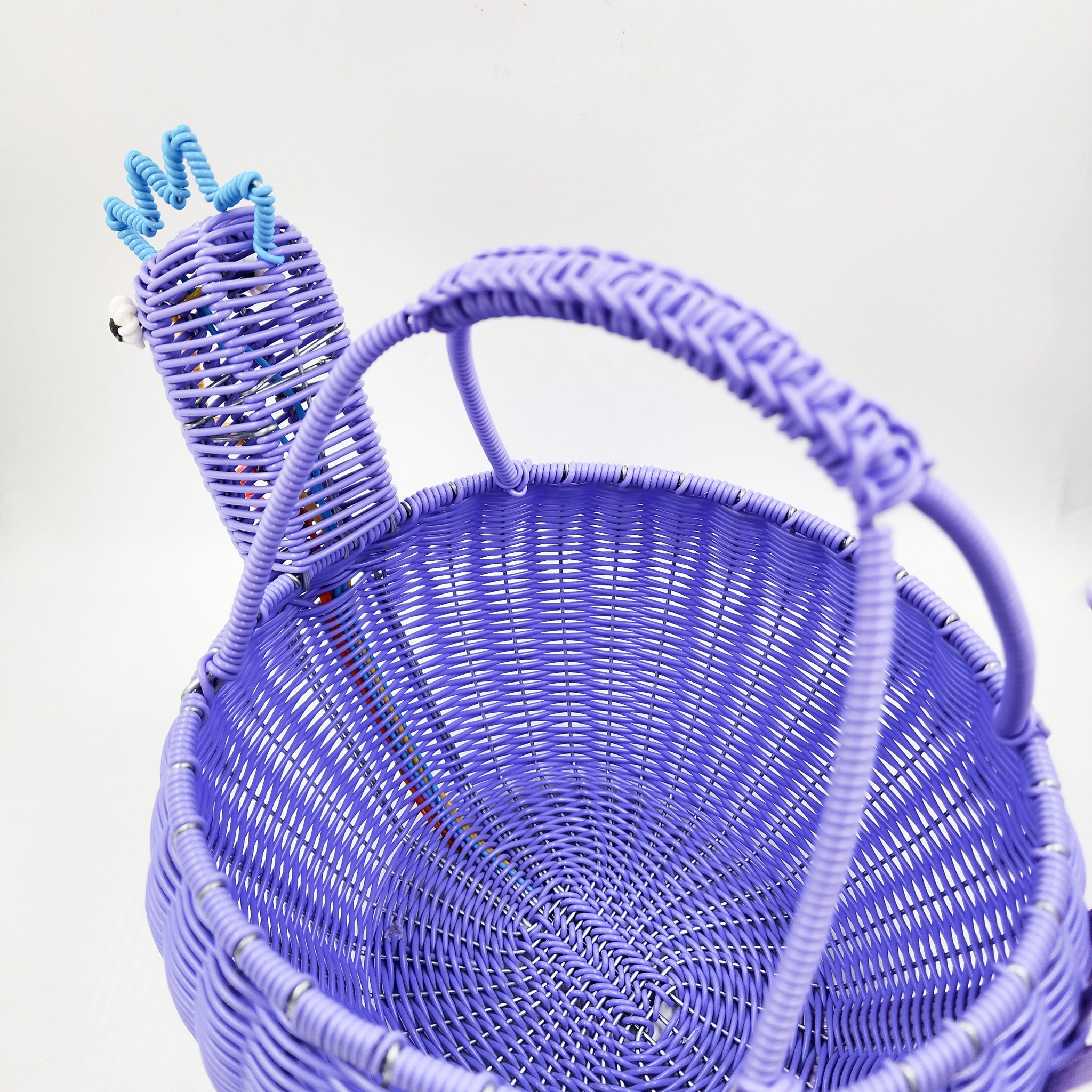 Popotillo chickens in different colors