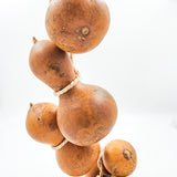 Guirnalda de guajes naturales