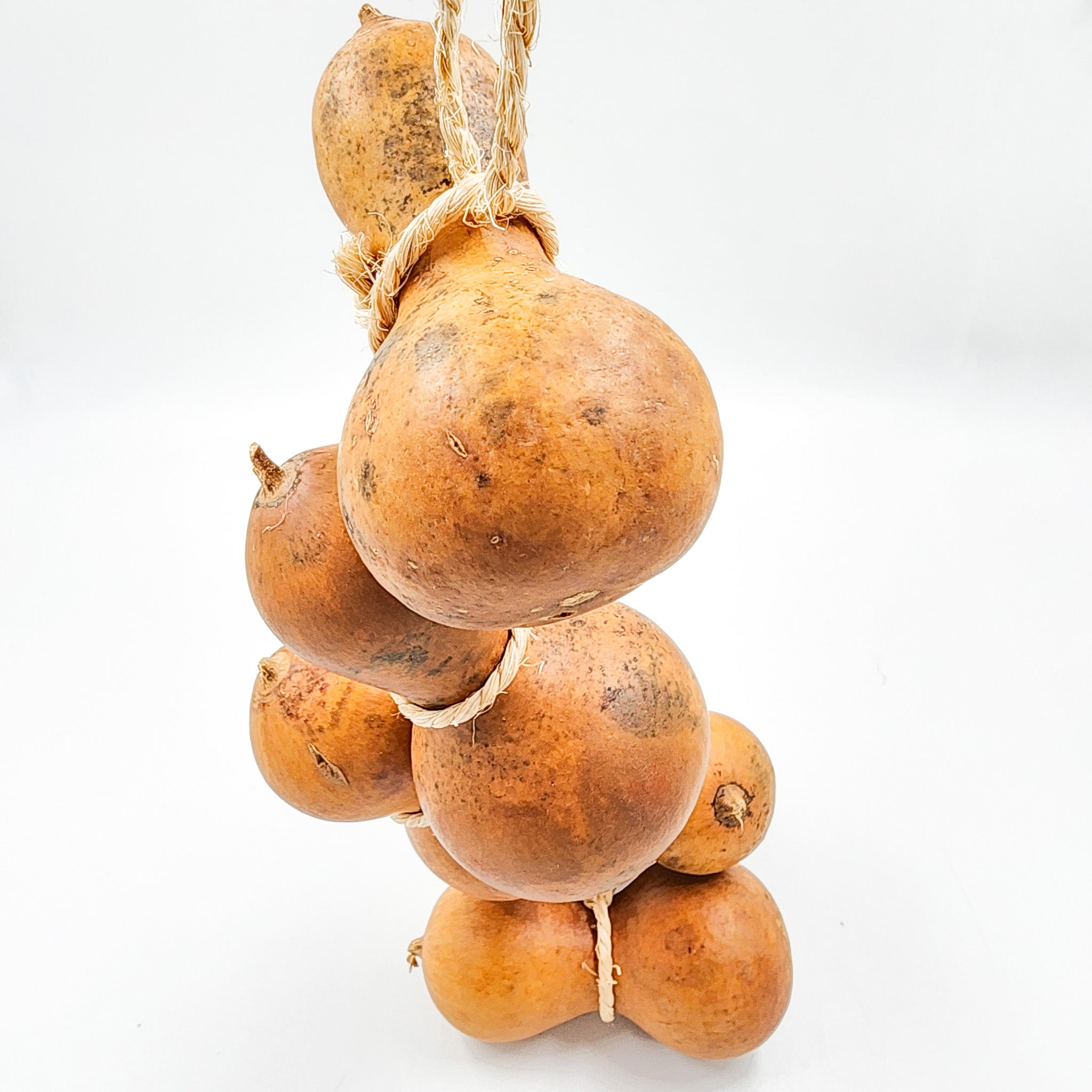 Guirnalda de guajes naturales