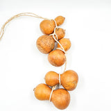 Guirnalda de guajes naturales