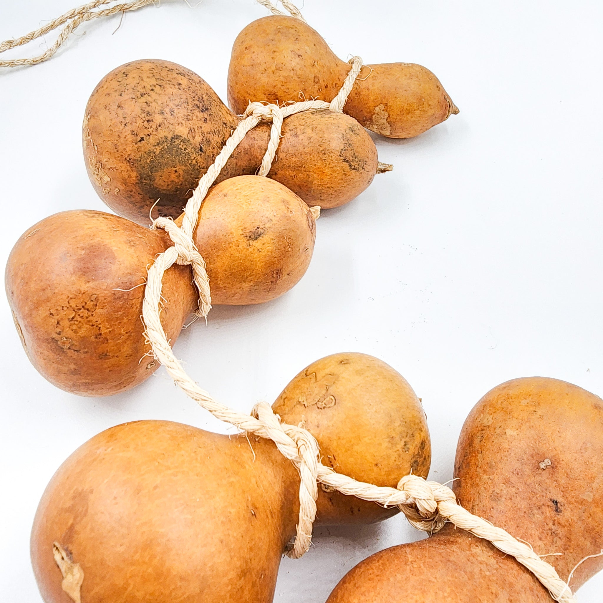 Guirnalda de guajes naturales