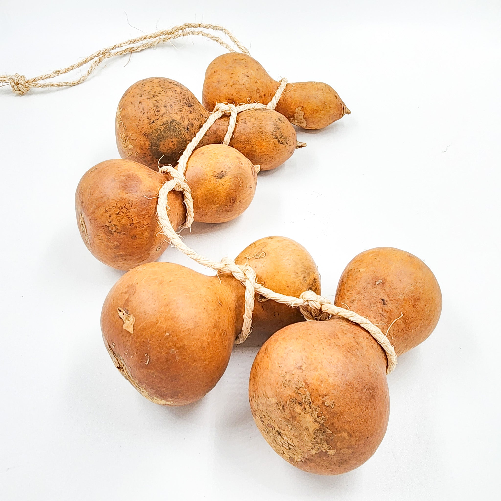 Guirnalda de guajes naturales