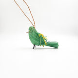 Jipijapa Birds