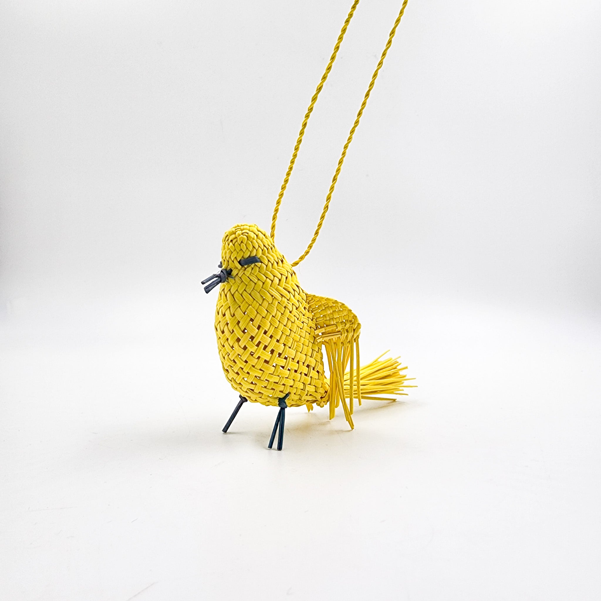 Jipijapa Birds