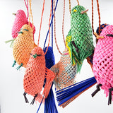 Jipijapa Birds