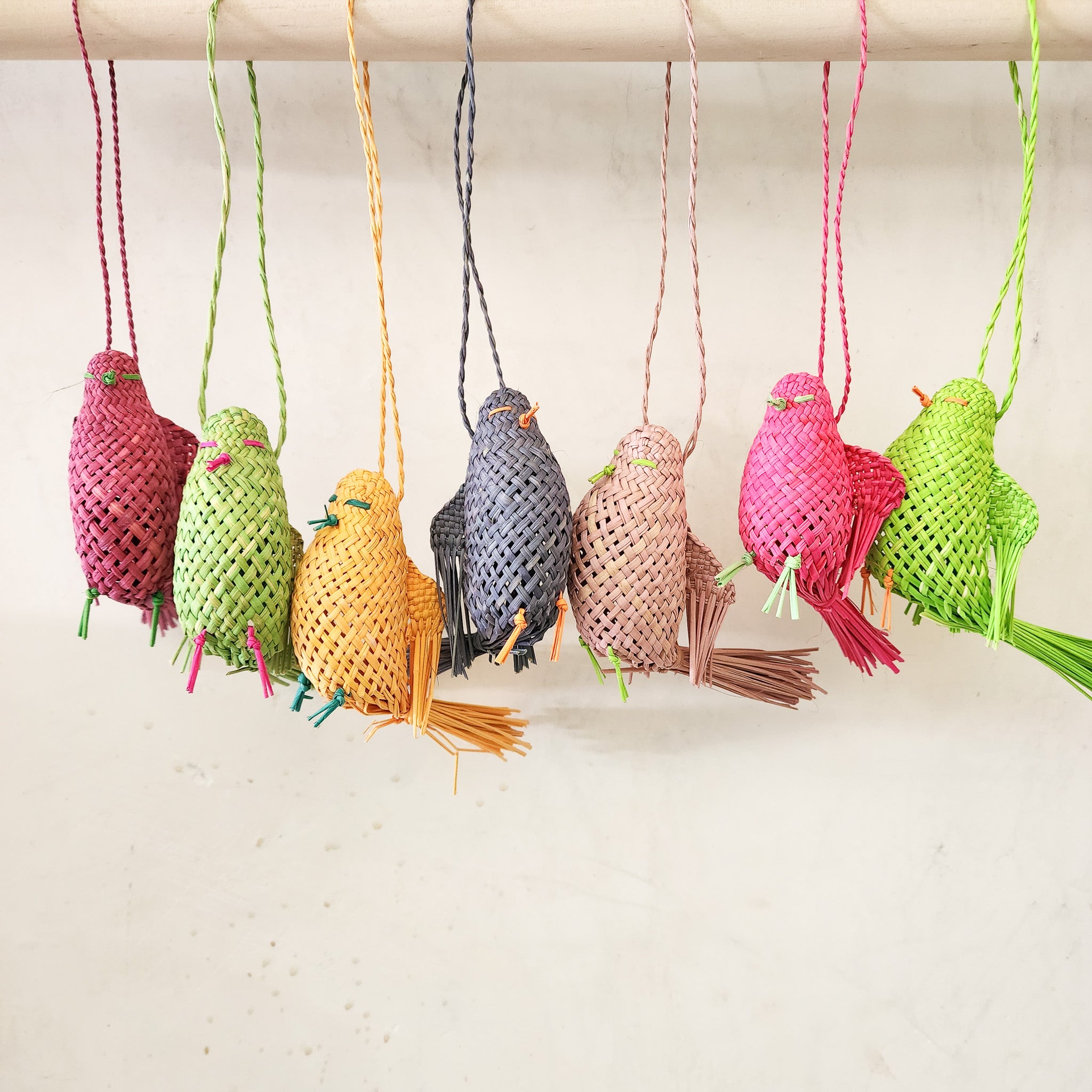 Jippijappa Jipijapa Birds – Los Milagritos