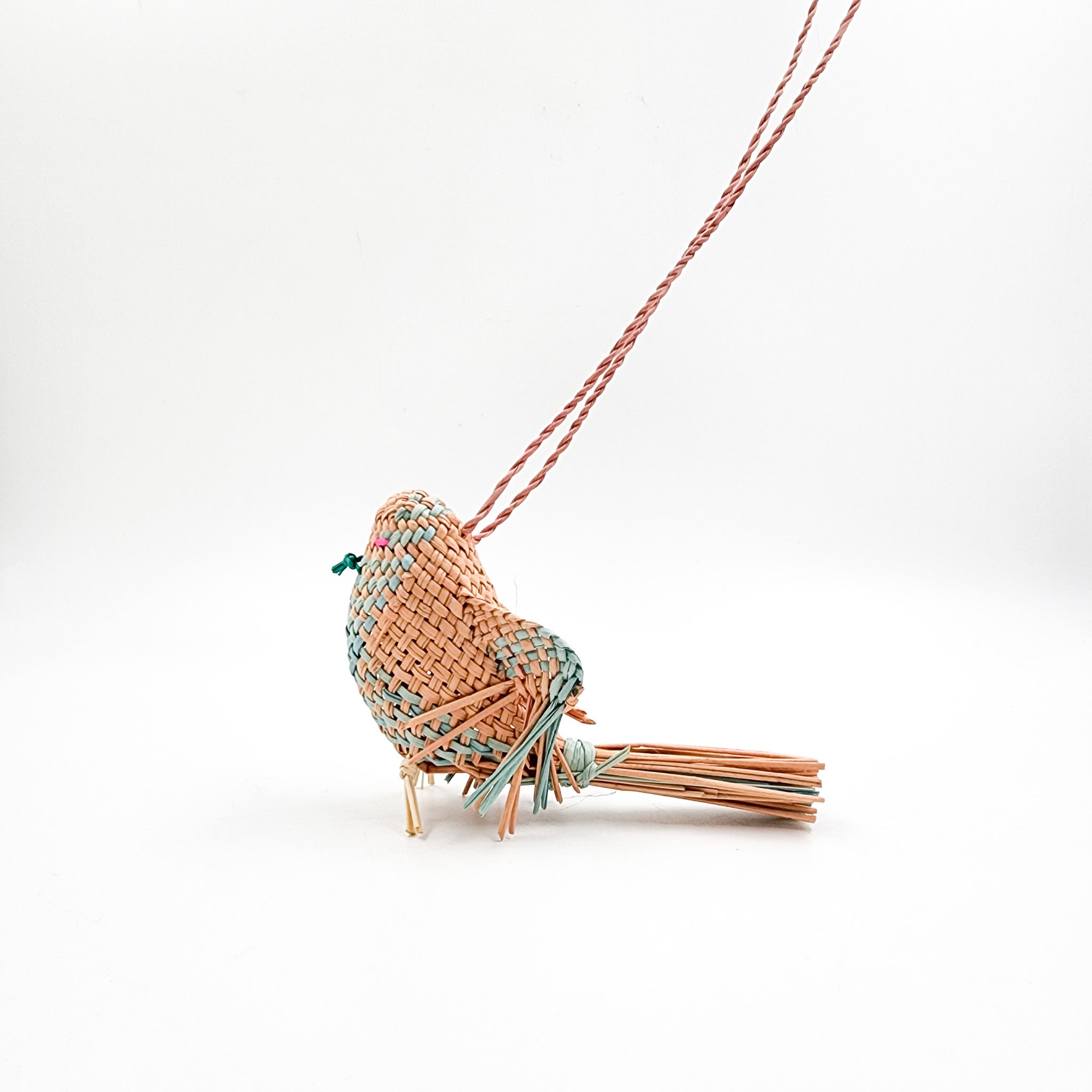Jipijapa Birds