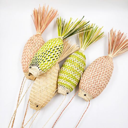 Peces decorativos jipijapa