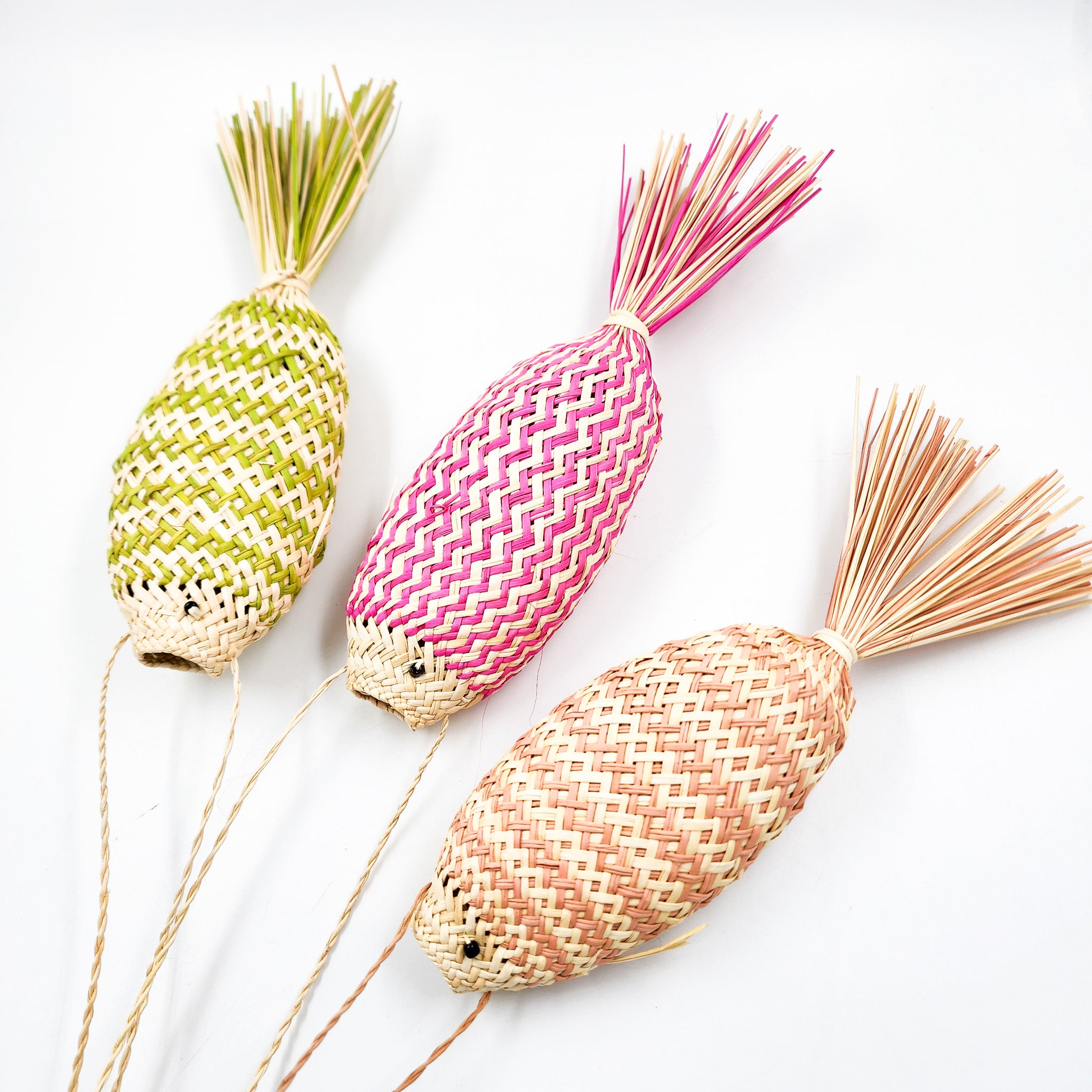 Peces decorativos jipijapa