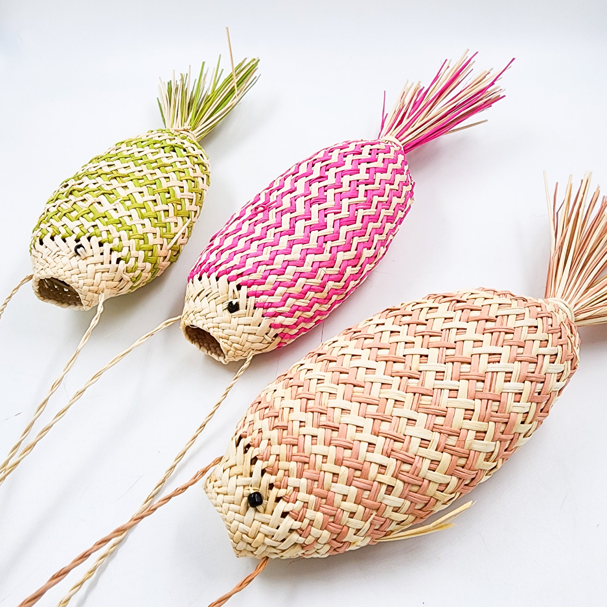 Peces decorativos jipijapa