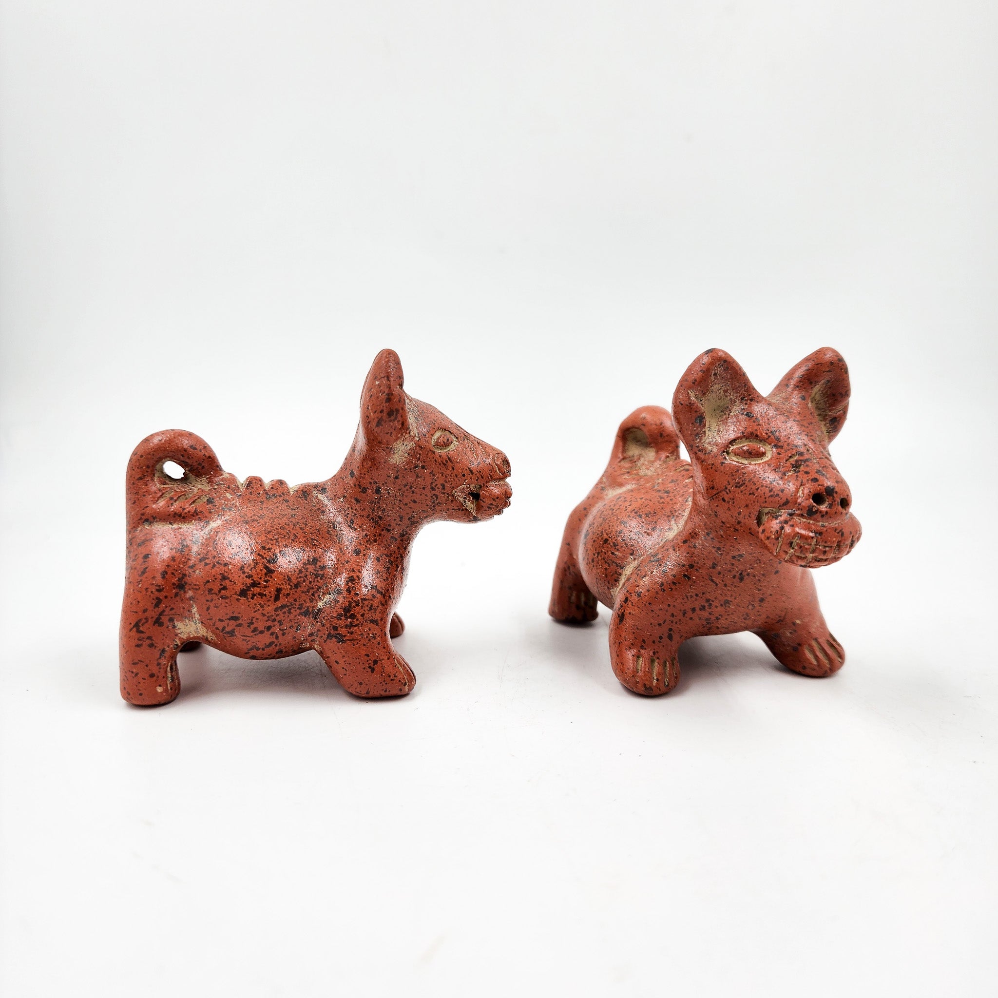Perritos Tlalchichi