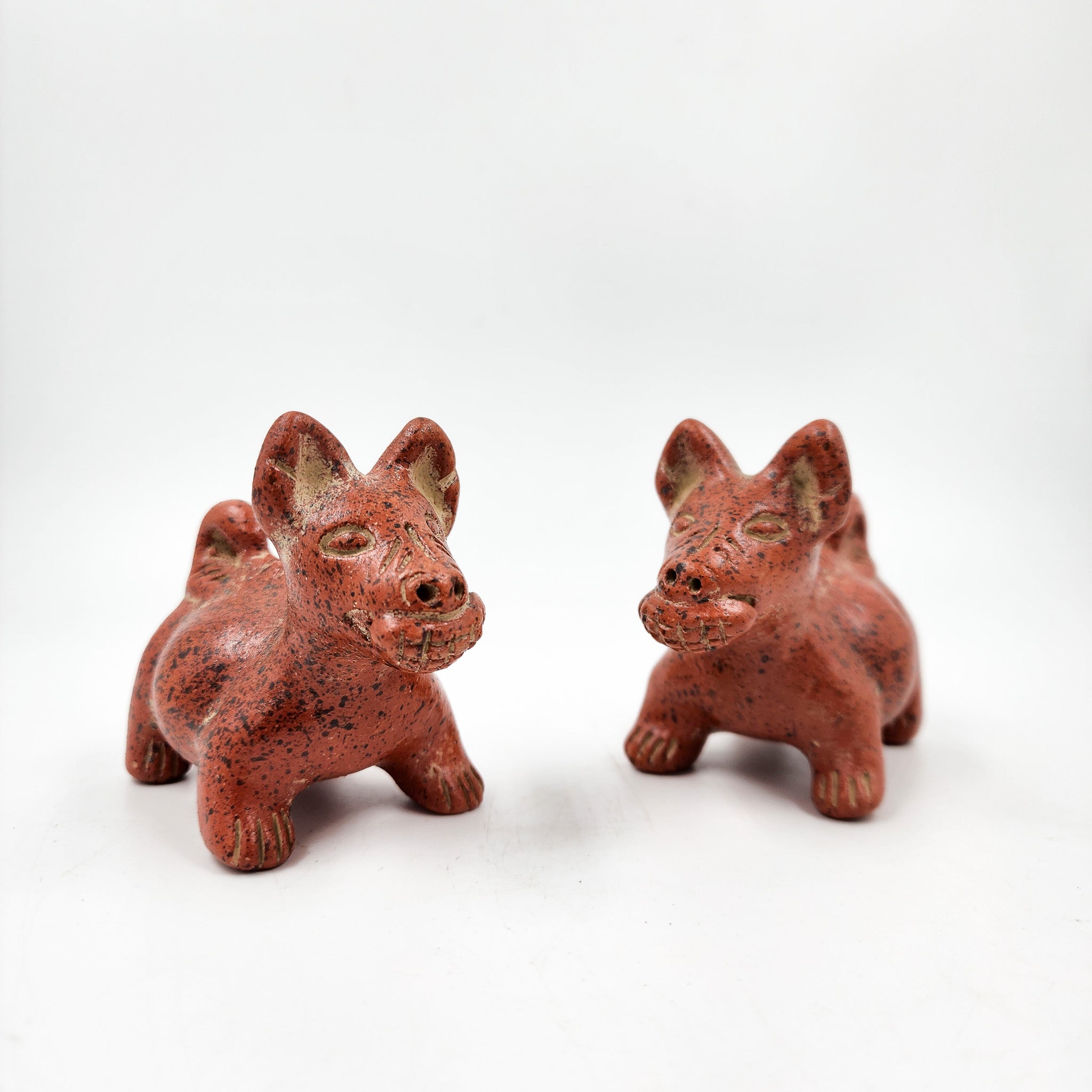 Perritos Tlalchichi