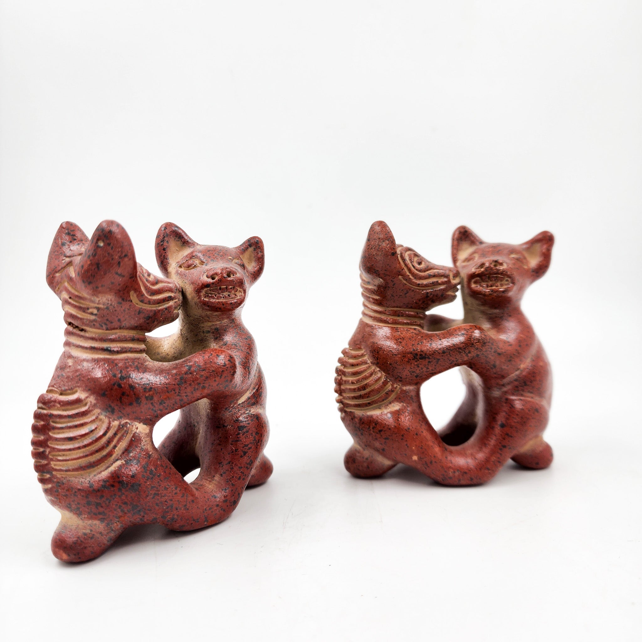 Perritos Colimotes Bailarines