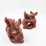 Perritos Colimotes Bailarines