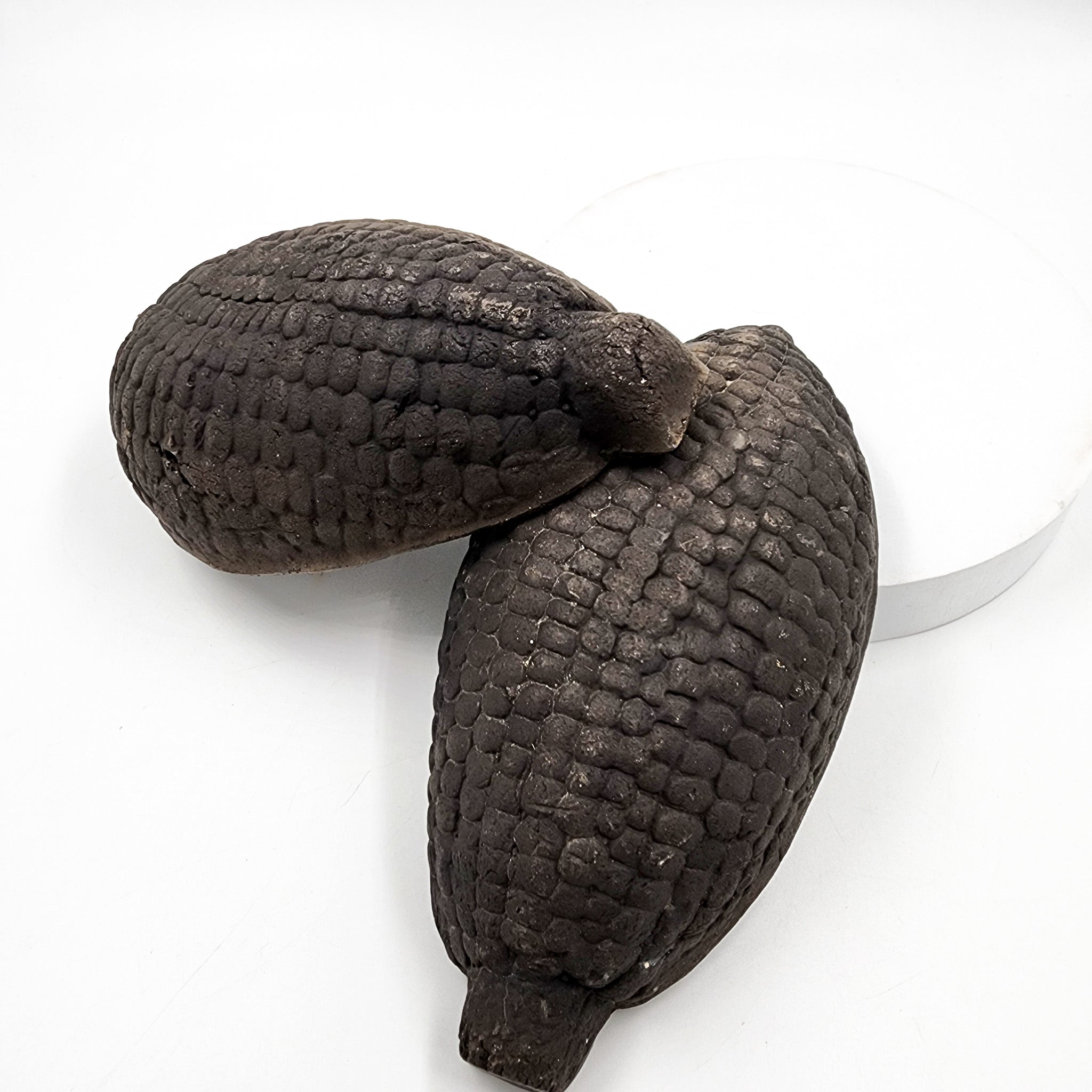 Plato botanero elote de barro negro