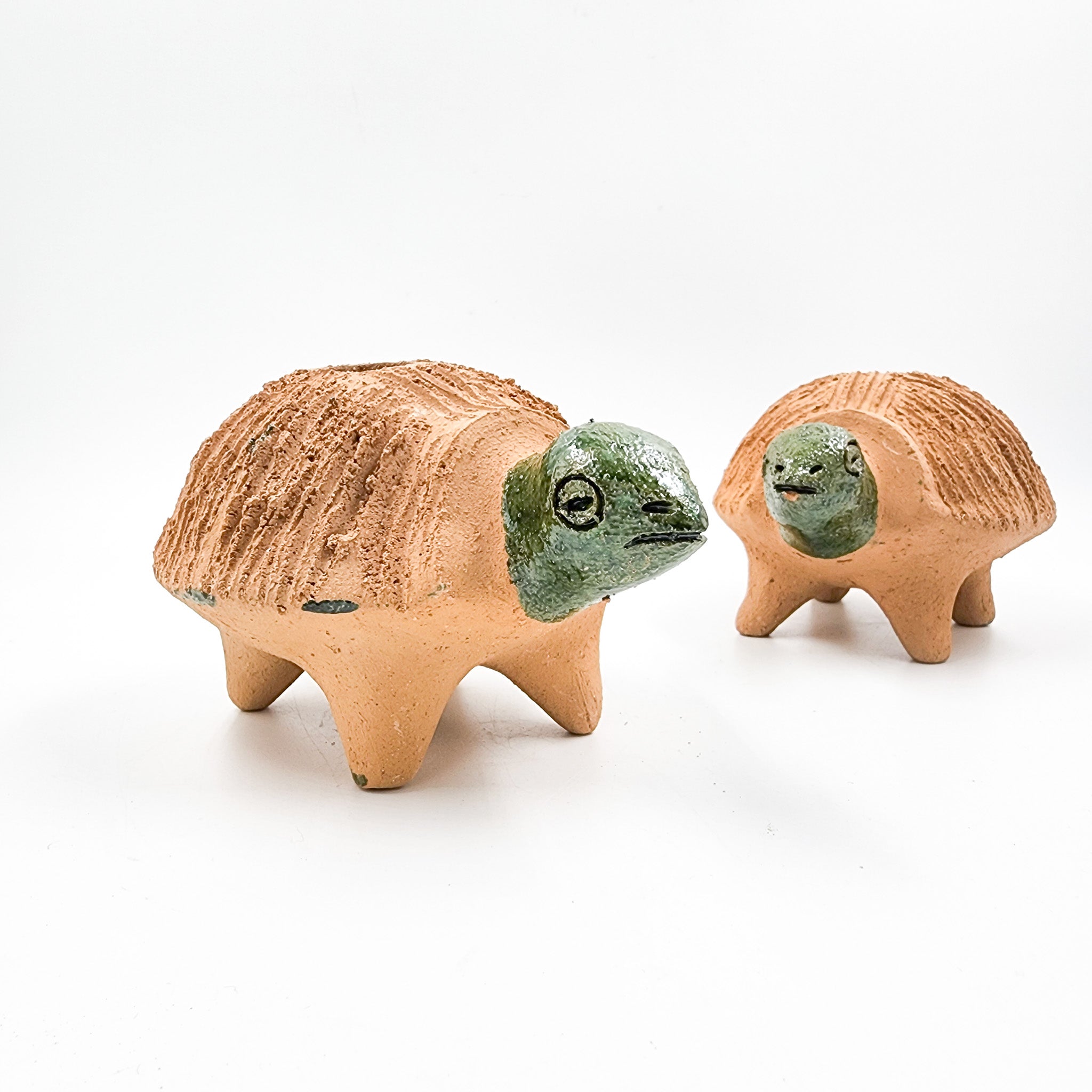 Tortuga de barro para germinadora de chía