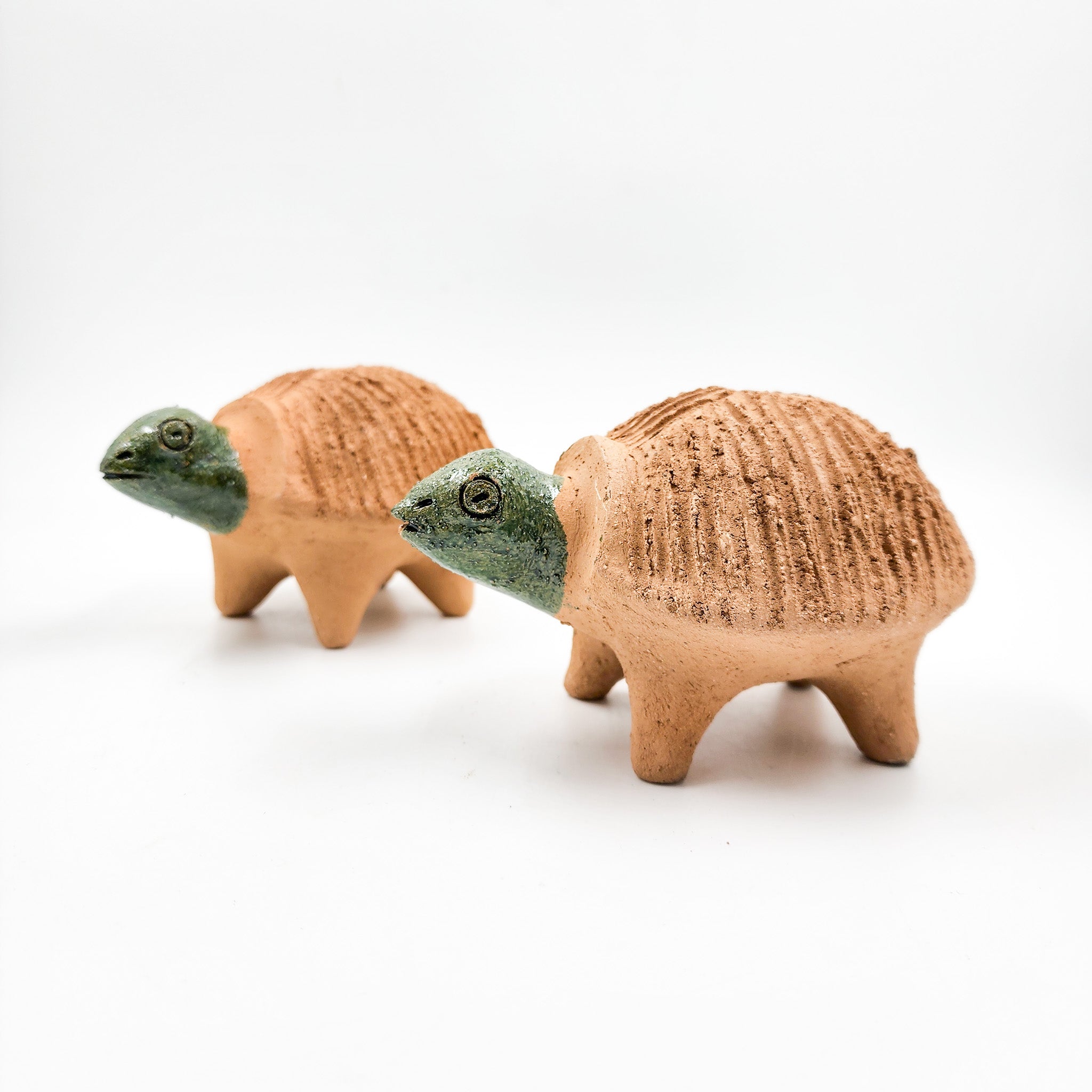 Tortuga de barro para germinadora de chía